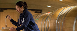 Student testing wine in a barrel